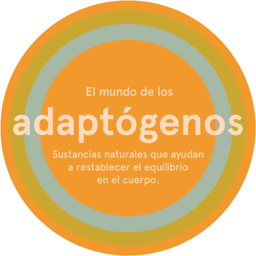 Nuestra obsesión con los adaptógenos…. ¿Qué son?