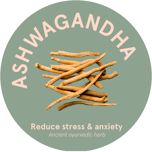 Ashwagandha: Historia, Beneficios y su Poder para Calmar el Sistema Nervioso